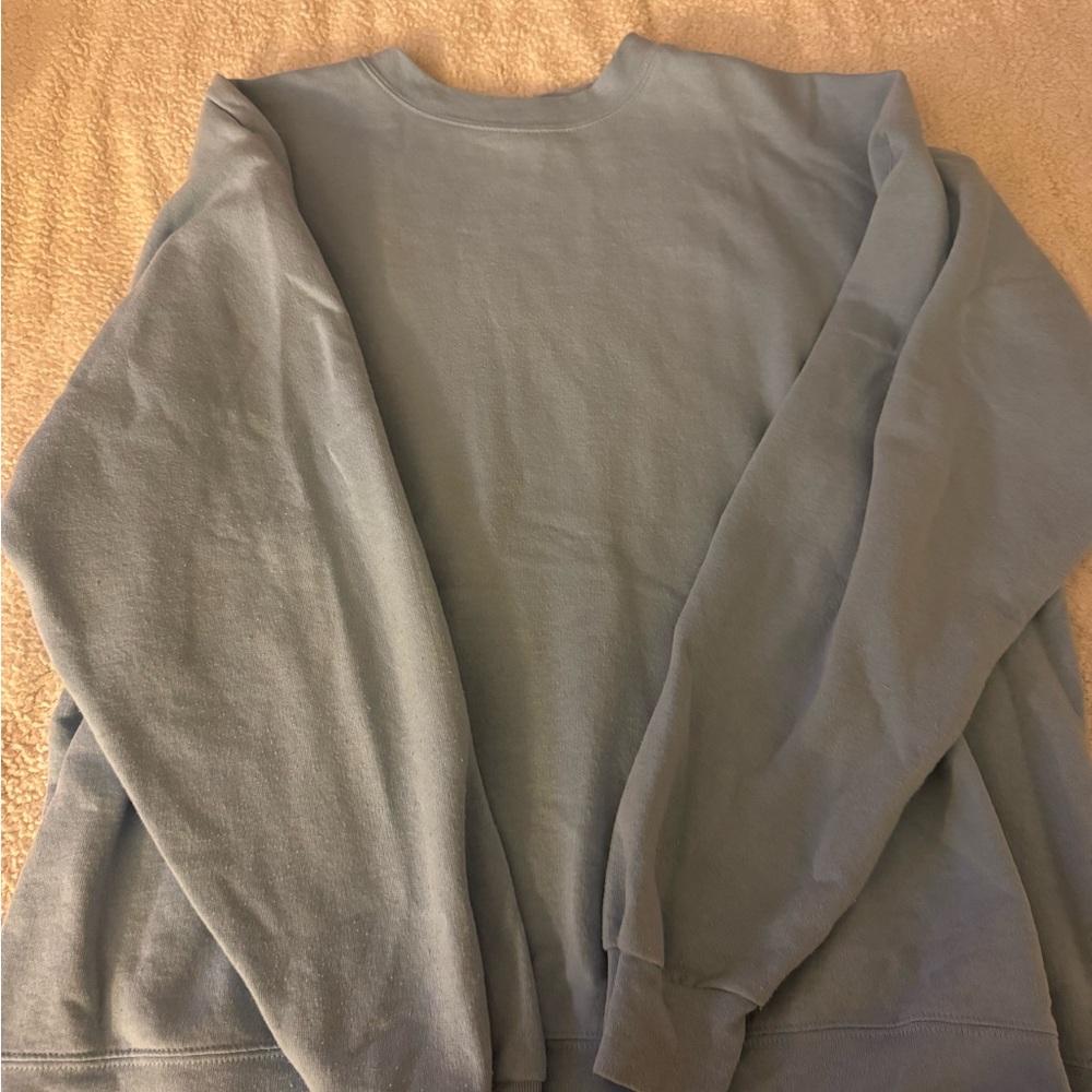 Hanes Men's Light Blue Crewneck Sweater